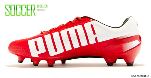 PUMA  x BMW evoSPEED - /