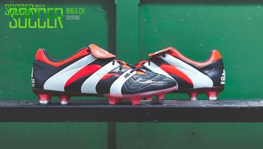 ���ϴ�˹��ӥInstinct Accelerator LE