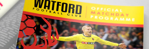 Watford Re-brand Concept by Nicolas Keruhel : Art and Illustration : Soccer Bible