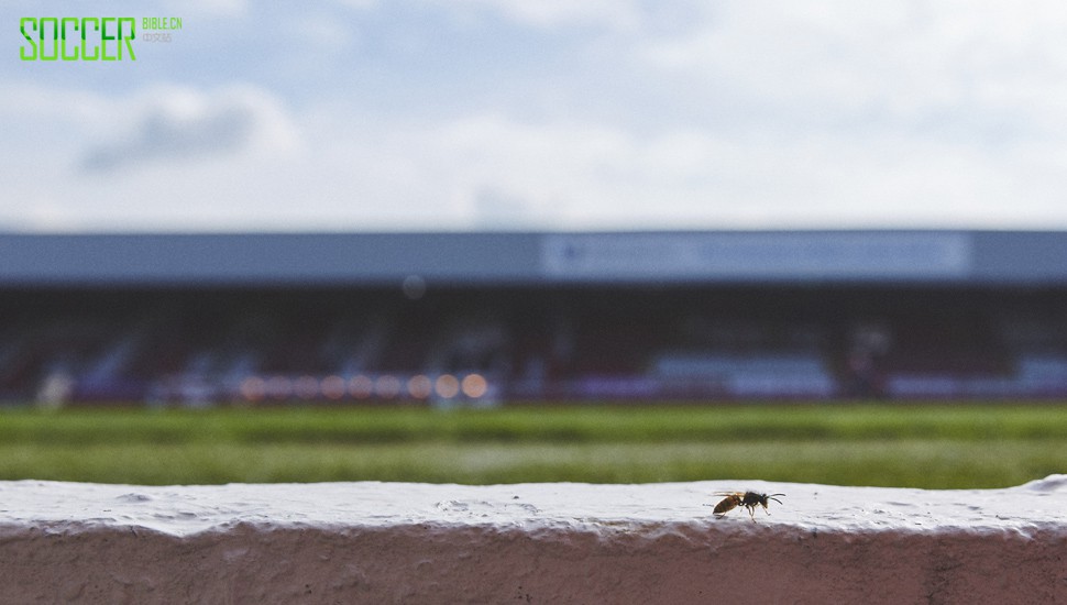 brentford-griffin-park-residence-27