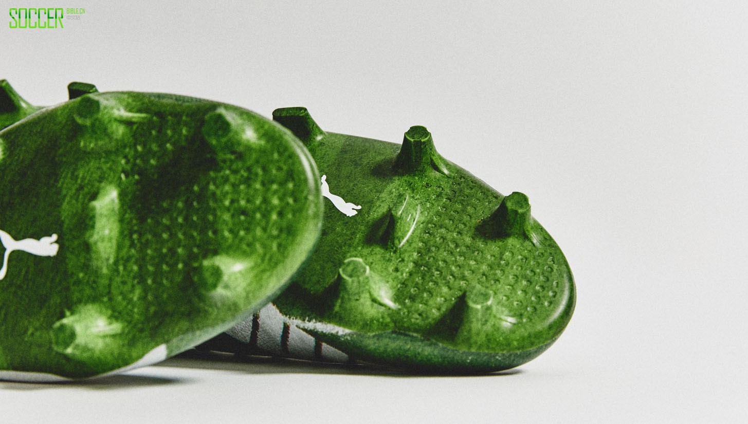 evospeed-grass-sl-9