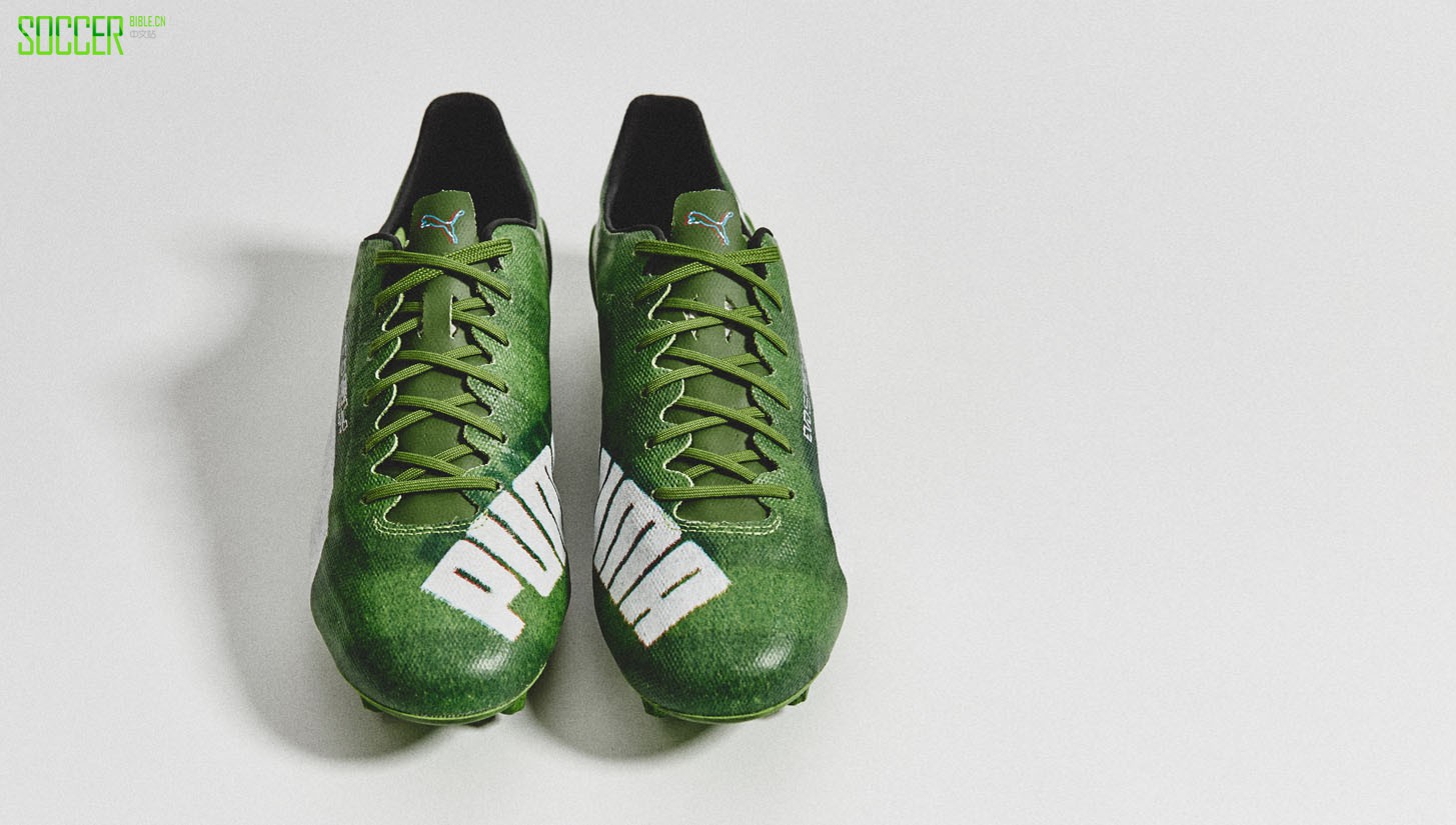 evospeed-grass-sl-4