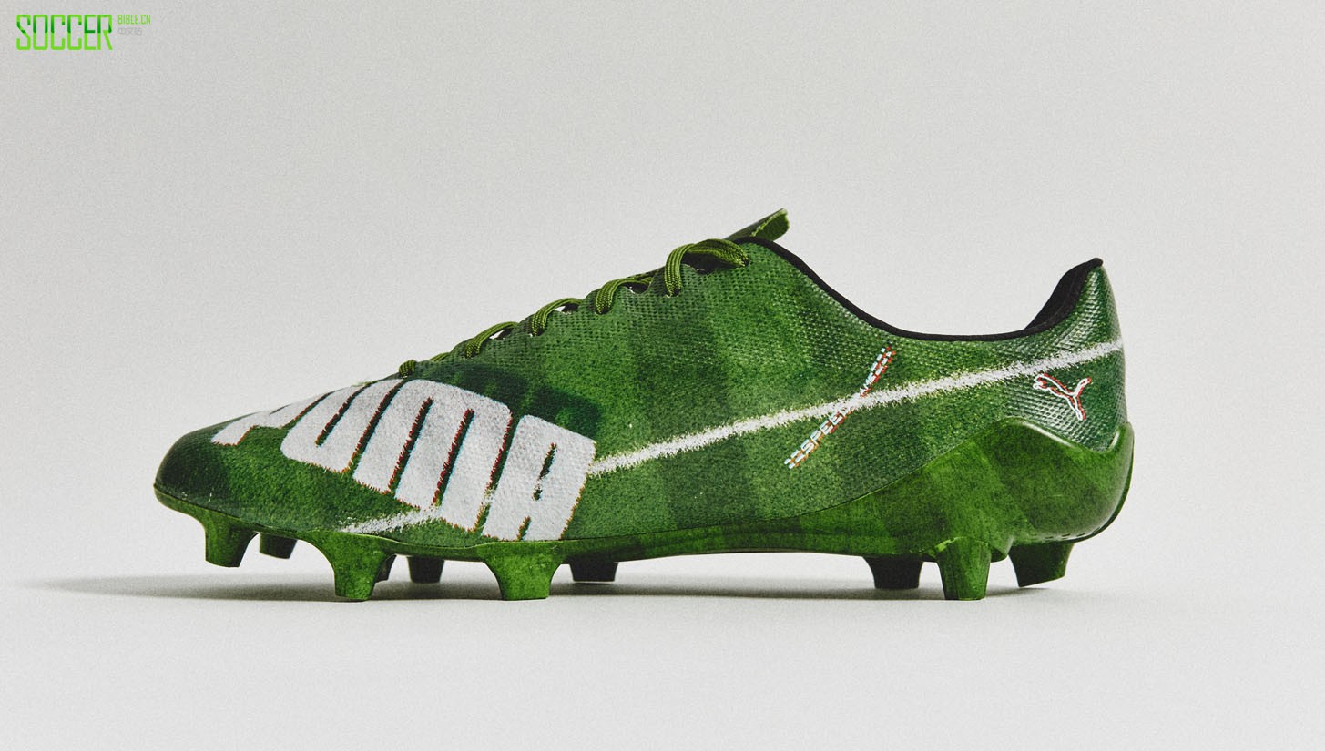 evospeed-grass-sl-2