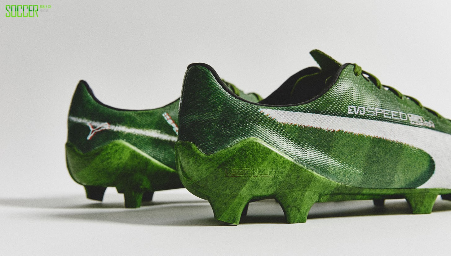 evospeed-grass-sl-6