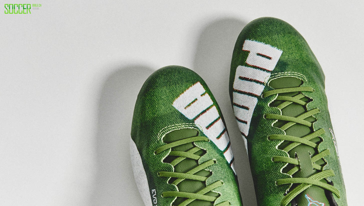 evospeed-grass-sl-13