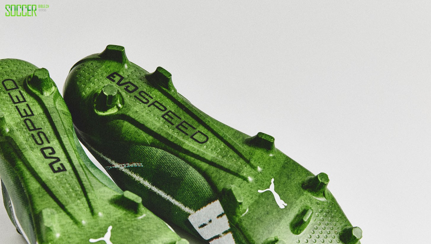 evospeed-grass-sl-7