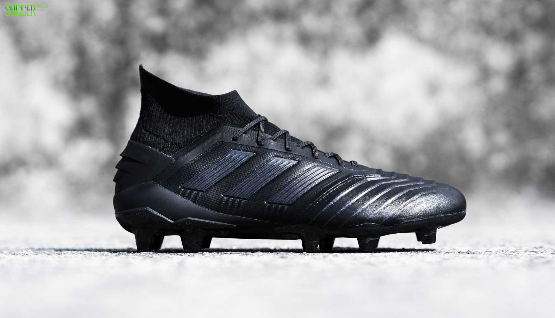 1-adidas-predator-leather-19-min